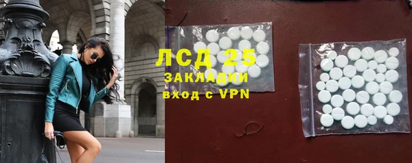 ГАЛЛЮЦИНОГЕННЫЕ ГРИБЫ Белокуриха
