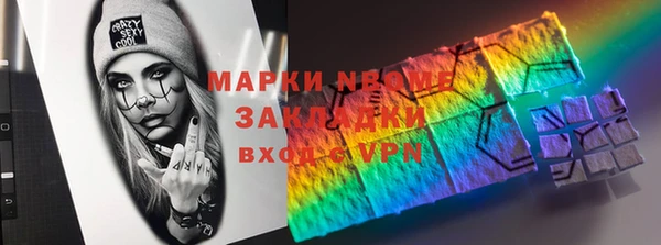 индика Богородск