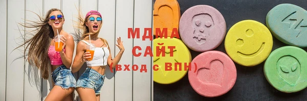 индика Богородск