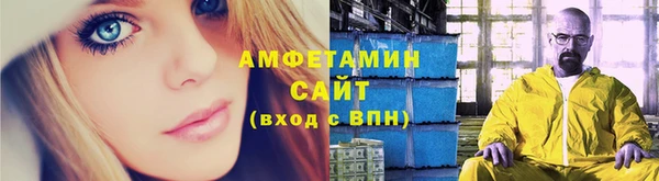 ГАЛЛЮЦИНОГЕННЫЕ ГРИБЫ Белокуриха
