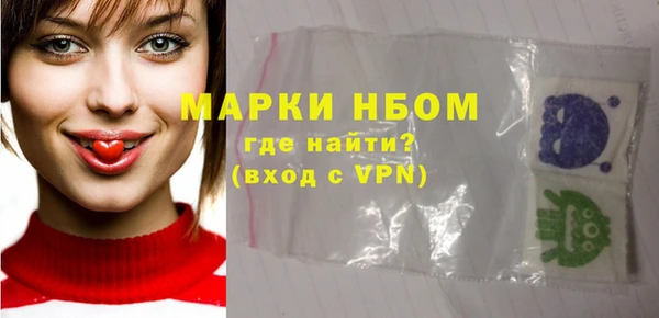 индика Богородск