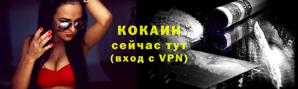 ГАЛЛЮЦИНОГЕННЫЕ ГРИБЫ Белокуриха