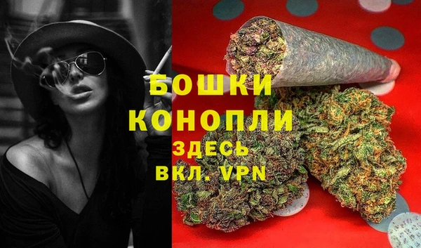 крисы Богданович